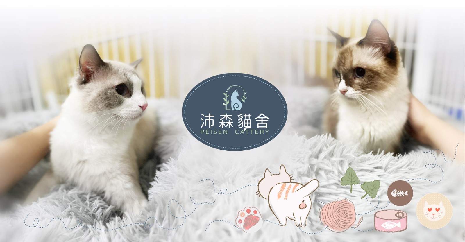 台北貓舍