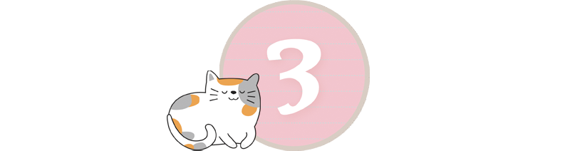 step3
