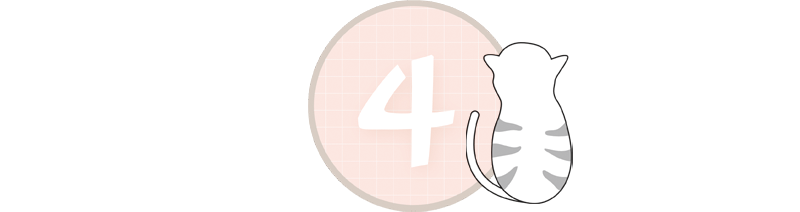 step4