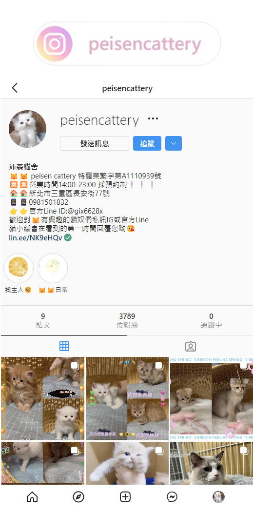 新北貓舍